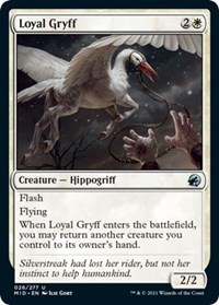 Loyal Gryff - Innistrad: Midnight Hunt - NM