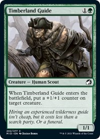 Timberland Guide - Innistrad: Midnight Hunt - NM