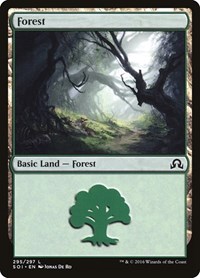 Forest (295) - Shadows over Innistrad - NM