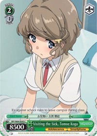 Visiting the Sick, Tomoe Koga - Rascal Does Not Dream of Bunny Girl Senpai - NM