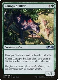 Canopy Stalker - Core Set 2021 - NM