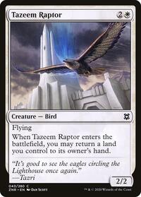 Tazeem Raptor - Zendikar Rising - NM