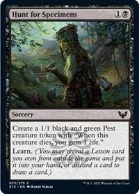 Hunt for Specimens - Strixhaven: School of Mages - NM