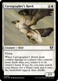 Cartographer's Hawk - Commander Masters - NM