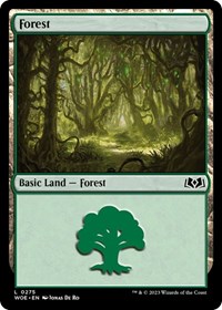 Forest (0275) - Wilds of Eldraine - NM