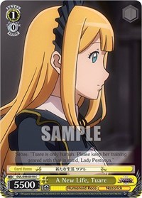 A New Life, Tuare - Nazarick: Tomb of the Undead Vol. 2 - NM