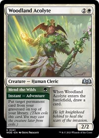 Woodland Acolyte - Wilds of Eldraine - NM