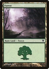 Forest (262) - Innistrad - NM