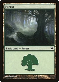 Forest (263) - Innistrad - NM