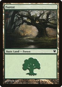 Forest (264) - Innistrad - NM
