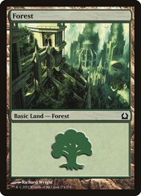 Forest (274) - Return to Ravnica - NM