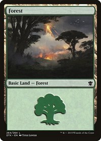 Forest (264) - Dragons of Tarkir - NM