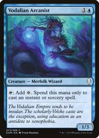 Vodalian Arcanist - Dominaria - NM