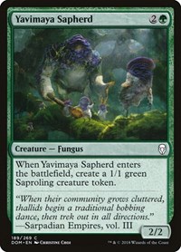 Yavimaya Sapherd - Dominaria - NM