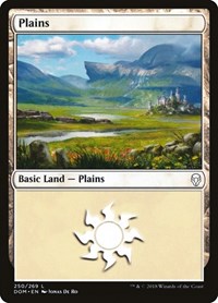 Plains (250) - Dominaria - NM