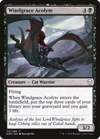 Windgrace Acolyte - Dominaria - NM