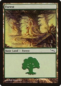 Forest (304) - Mirrodin - NM