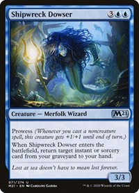 Shipwreck Dowser - Core 2021 - NM