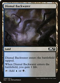 Dismal Backwater - Core 2021 - NM