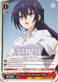Perfect Cross-Dressing? Tohka - Date A Live Vol 2 - NM