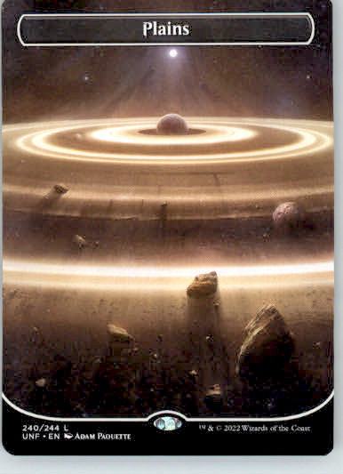 Plains (240) (Borderless) - Unfinity - 240 - Normal NM