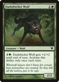 Darkthicket Wolf - Innistrad - NM