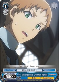 A New Experience, Greenhorn Warrior - Goblin Slayer - NM