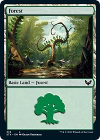 Forest (374) - Strixhaven: School of Mages - NM