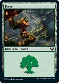 Forest (375) - Strixhaven: School of Mages - NM