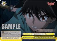 What One's Sword Bears - Rurouni Kenshin - NM