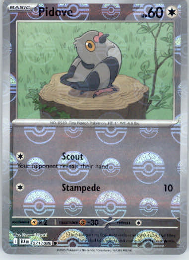 Pidove - Poke Ball Pattern - SV: Black Bolt - 071/086 - Holo NM