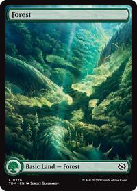 Forest (0276) - Tarkir: Dragonstorm - Foil NM