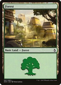 Forest (267) - Amonkhet - NM