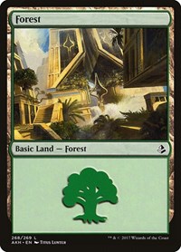 Forest (268) - Amonkhet - NM