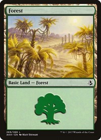 Forest (269) - Amonkhet - NM