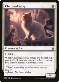 Charmed Stray - War of the Spark - NM