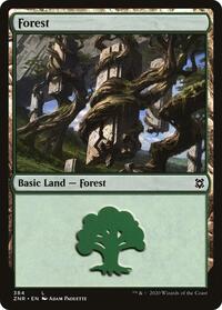 Forest - Zendikar Rising - NM